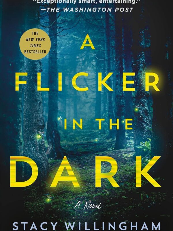 A Flicker in the Dark by Stacy Willingham
