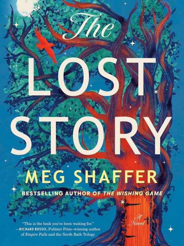 The Lost Story by Meg Shaffer