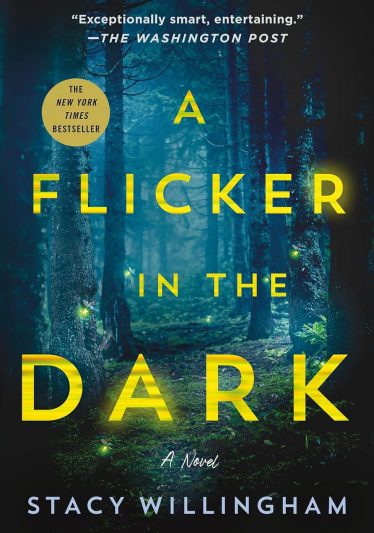A Flicker in the Dark by Stacy Willingham